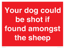 your-dog-could-be-shot-if-found-amongst-the-sheep~